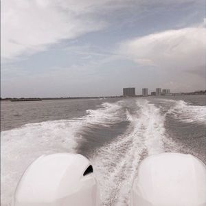 Meet your Posher, Bella